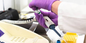 Превод на медицински документи за професионални цели и физически лица